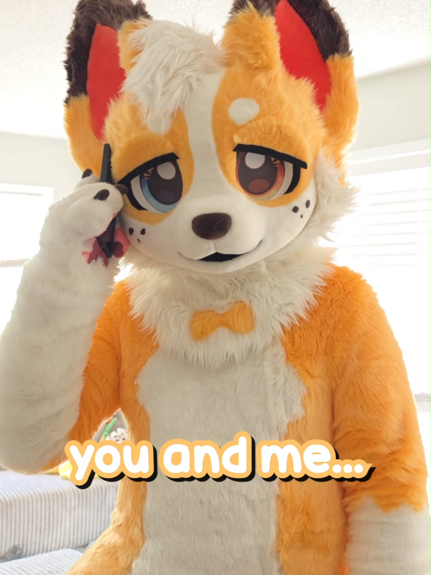 @Corgi