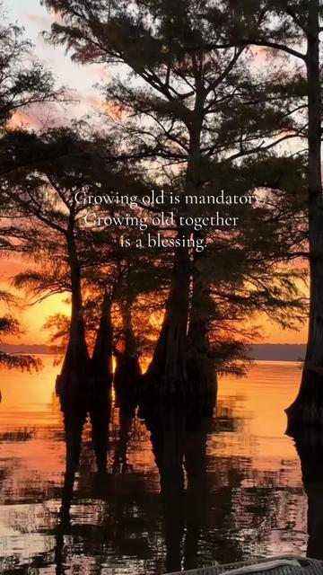 @Caddo Lake FirstCastCabin
