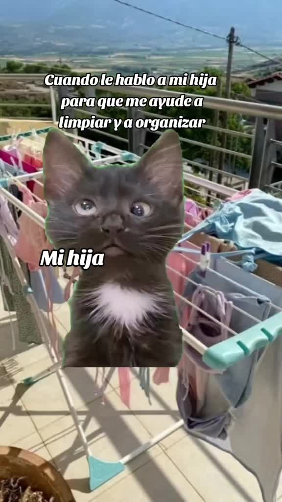 @Iris