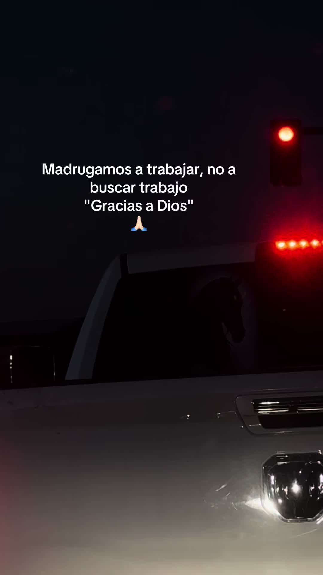 @giavibees