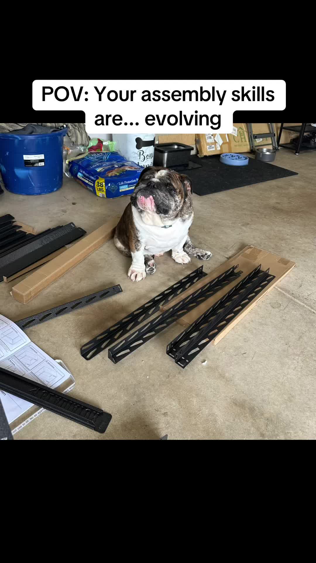 @Lisa 🐾🐶