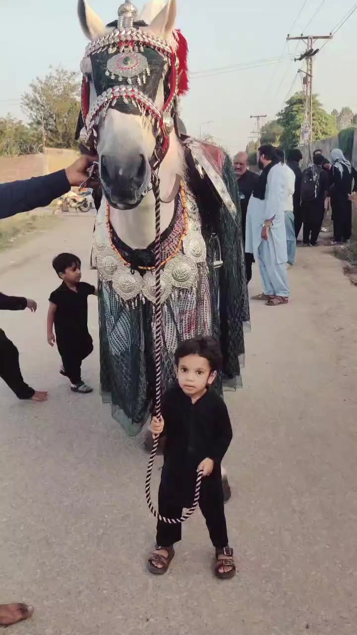 @Qasim malik