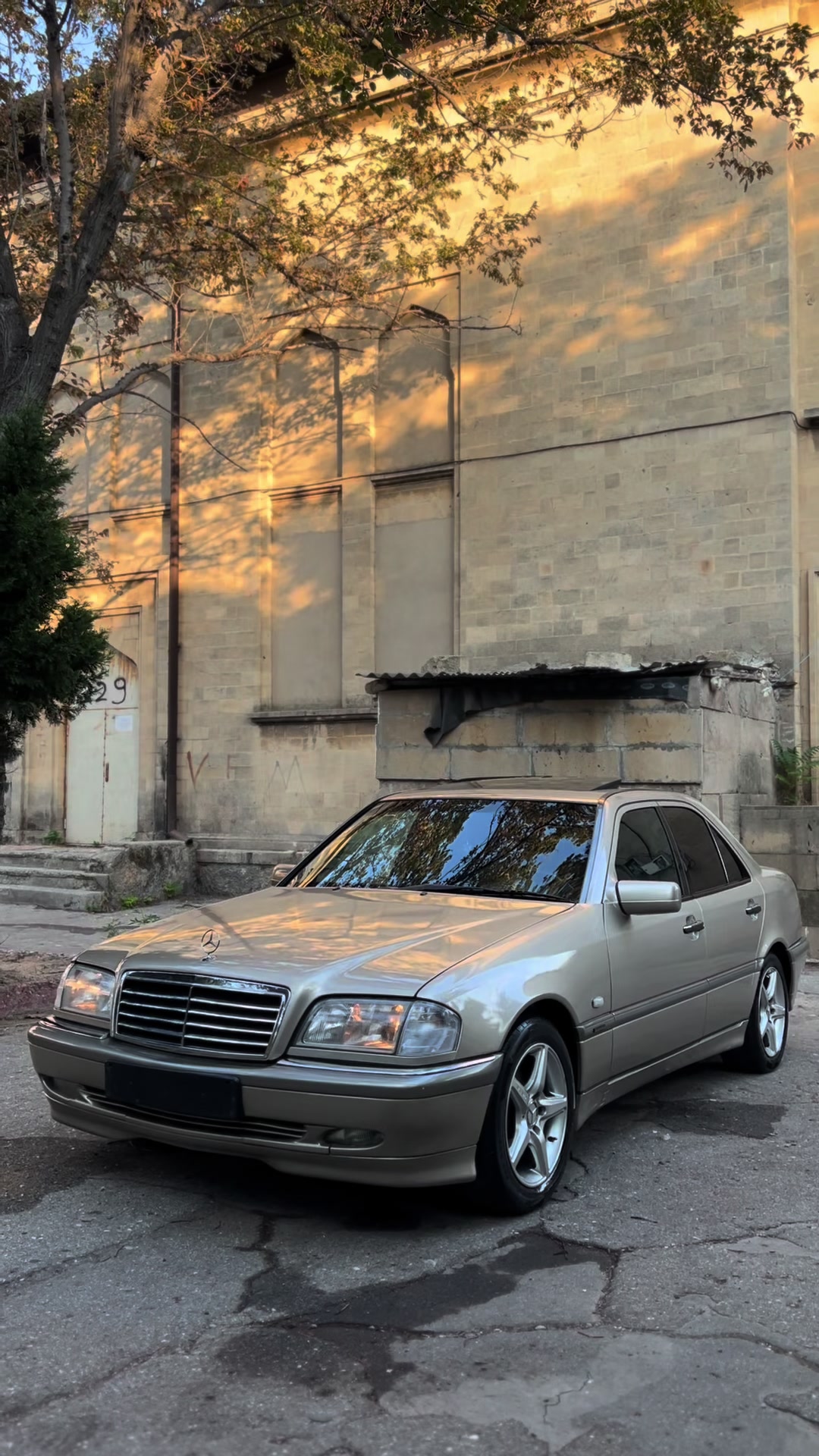@ℒ𝒟.41🇦🇿