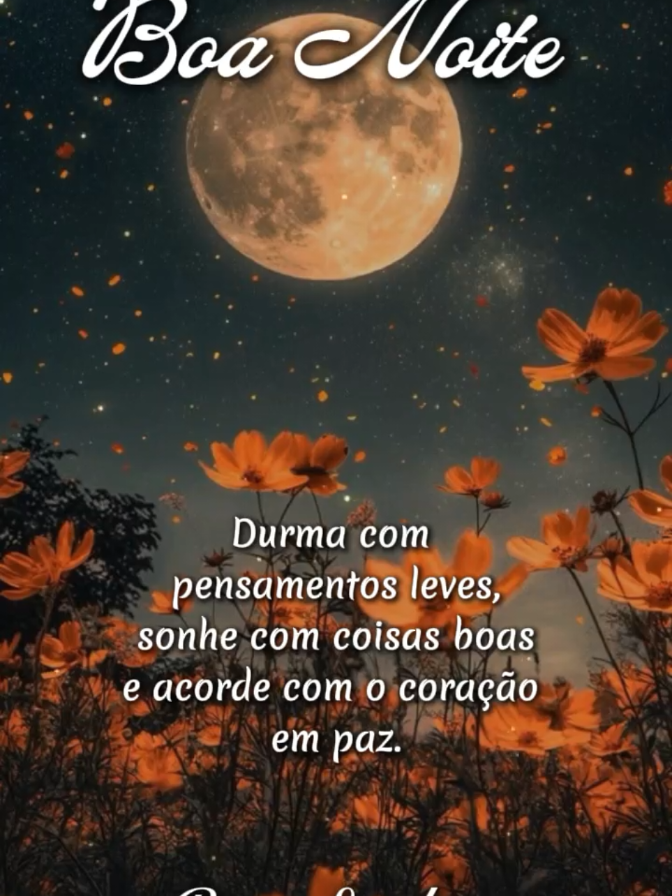 @Semeando Reflexões
