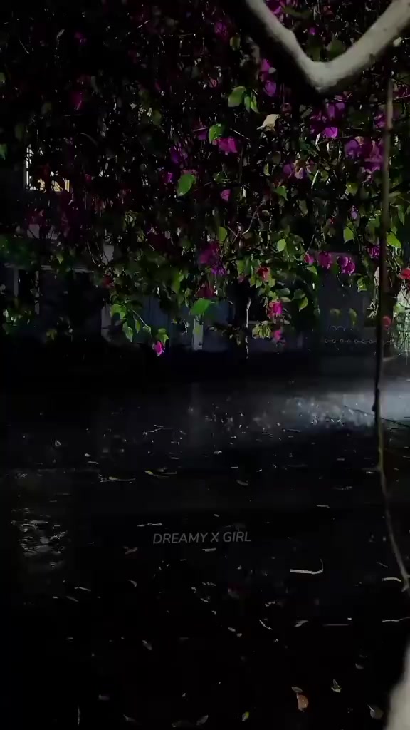 @ғᴀᴛɪᴍᴀ ᥫ᭡