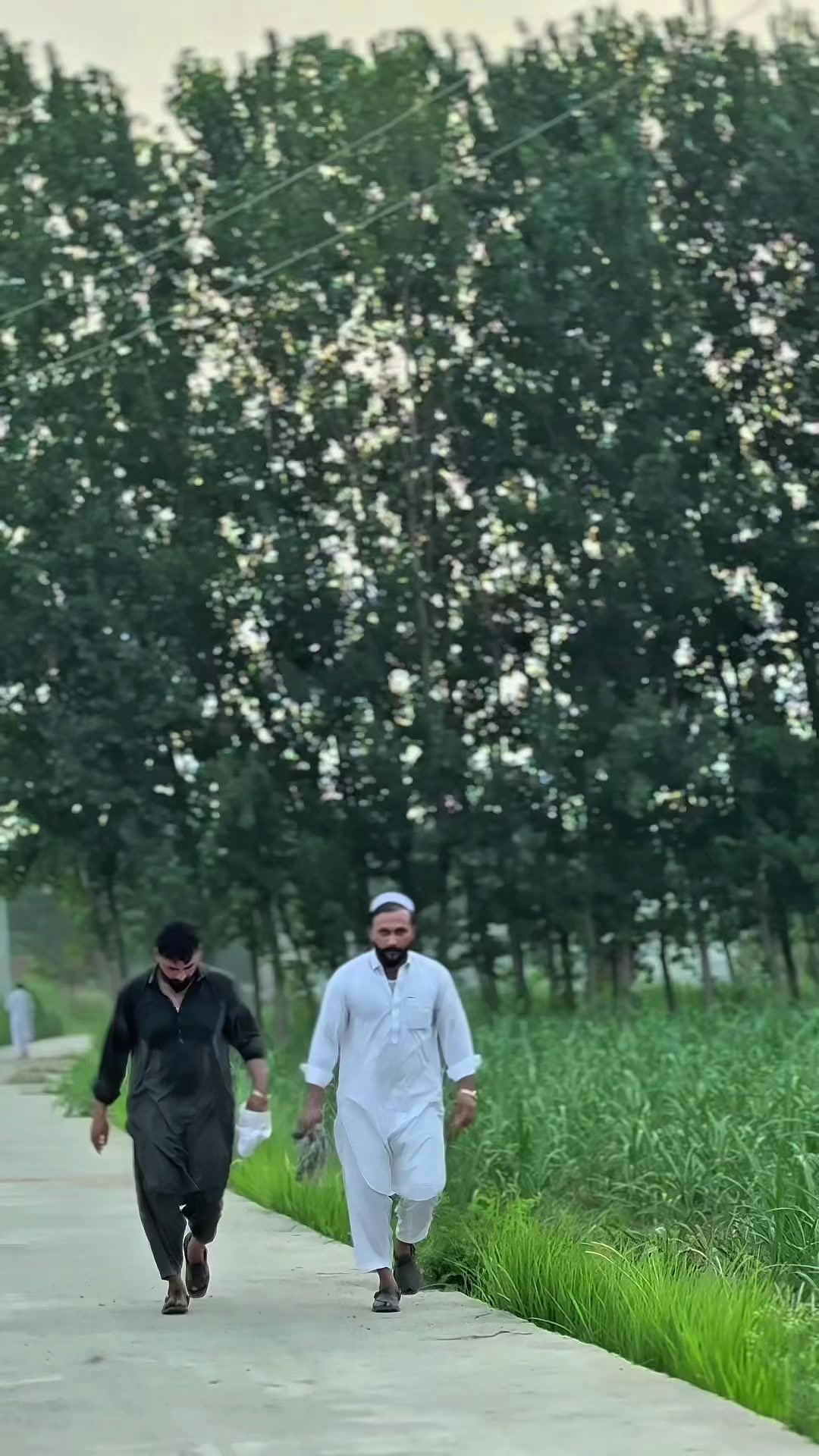 @🔥غنم رنگ🥀انعام🔥