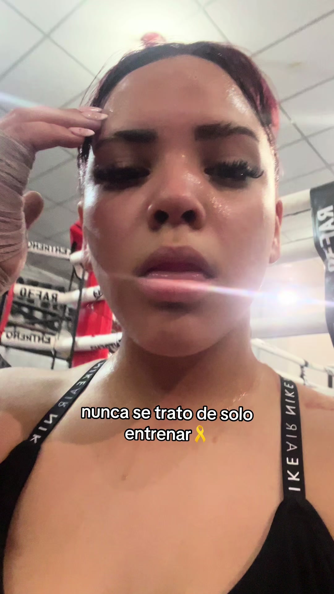 @lapinchethaiss