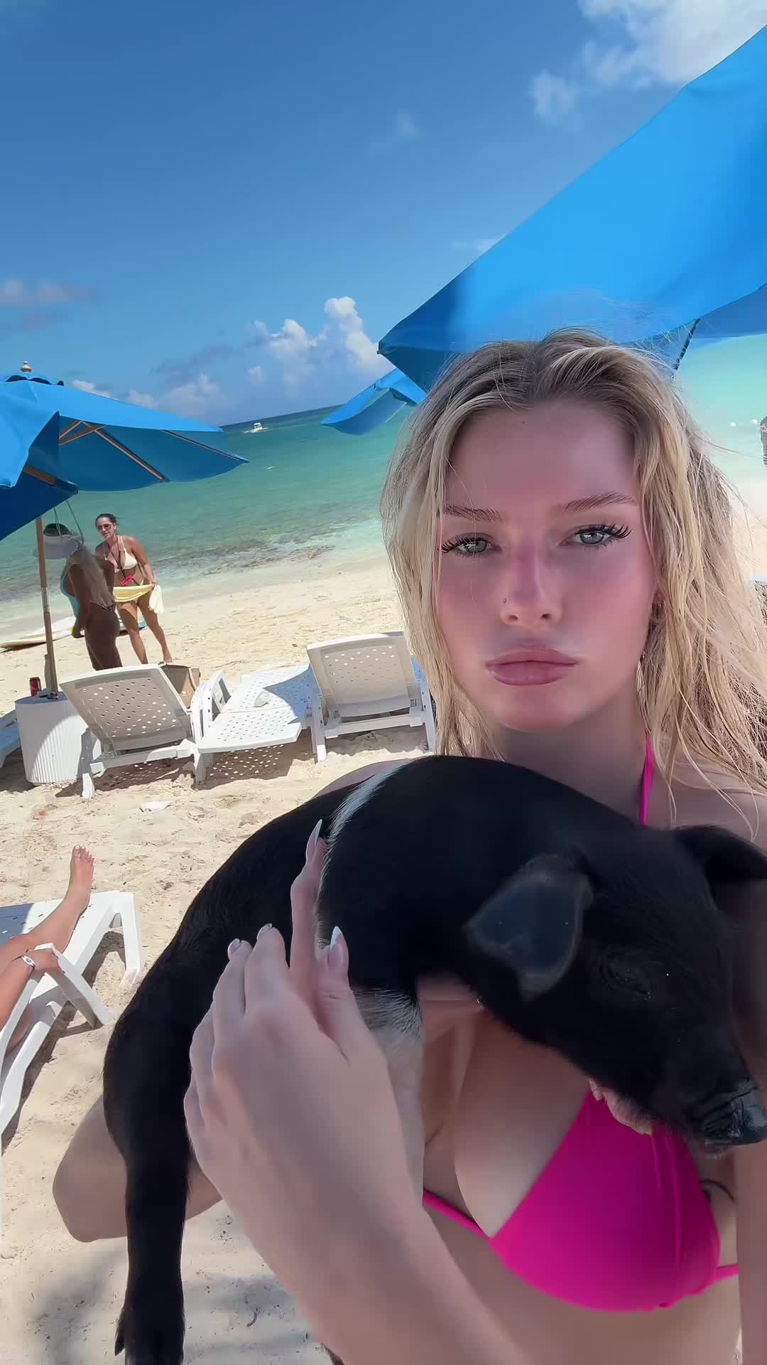 @laniiii
