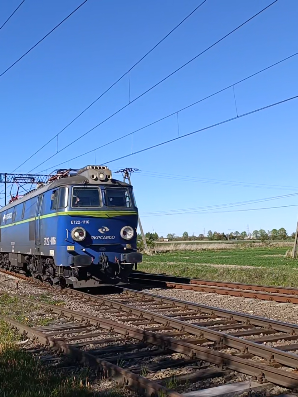 @Dawid🚅😈