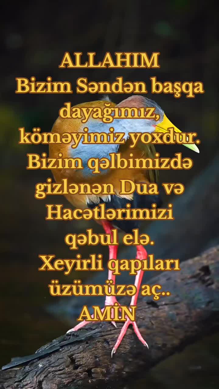 @DİNİM İSLAM