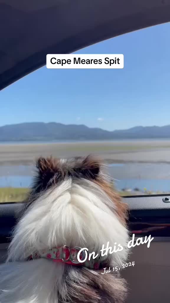 @oregonskyveek
