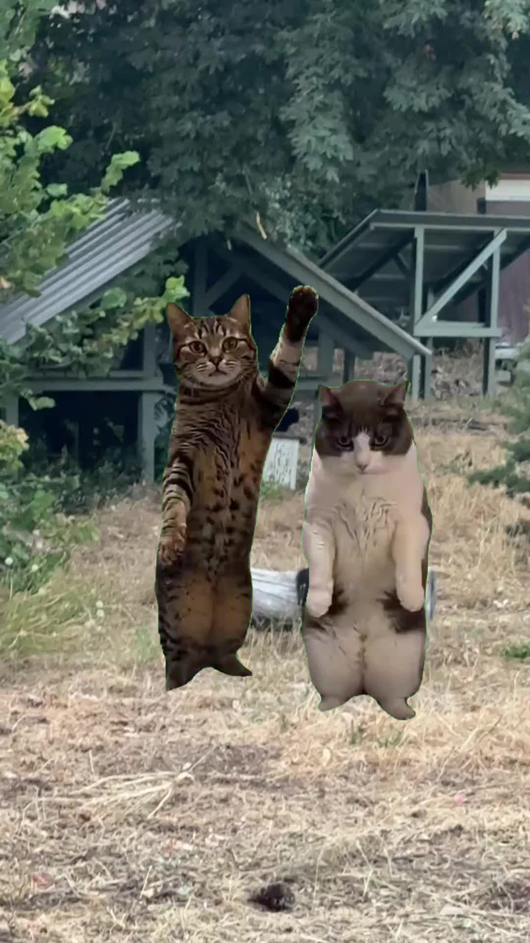@Supreta