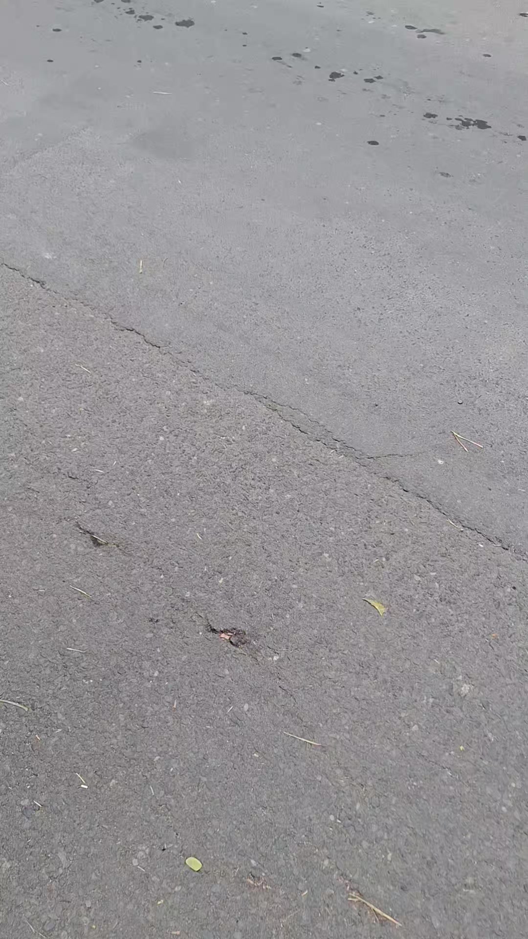 @𝙫𝙞𝙠𝙮_𝙖𝙡𝙚𝙭