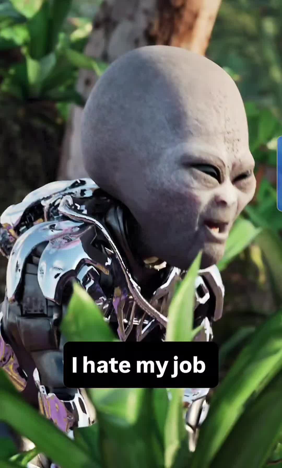 @Wheems