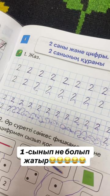 @syrlybayeva_u