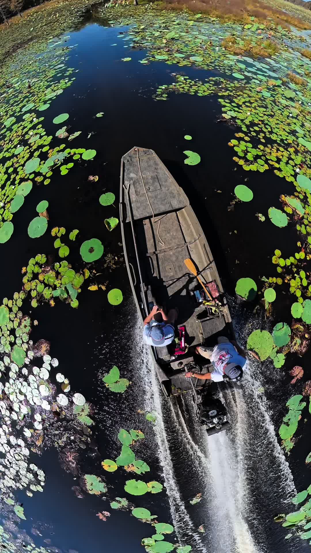 @Caddo Lake FirstCastCabin
