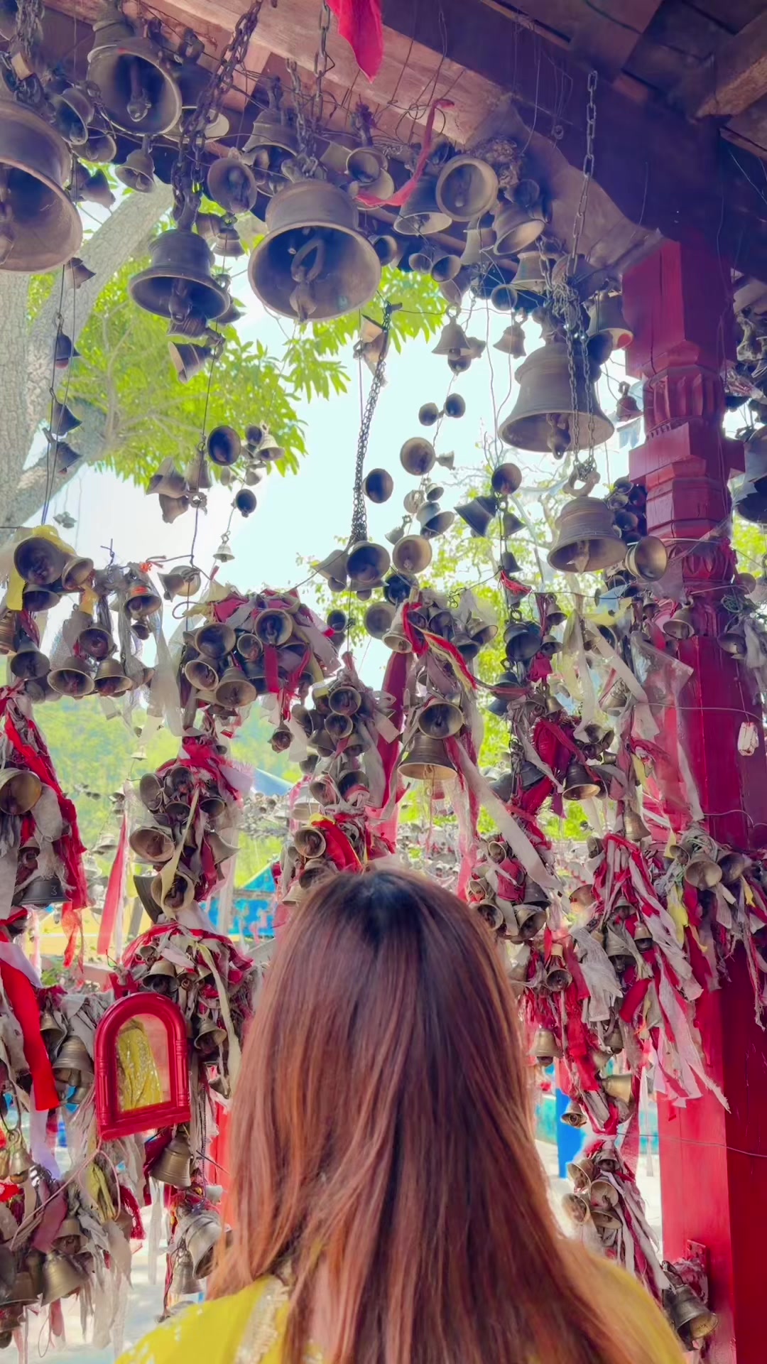 @Shandya Regmi🦚✨
