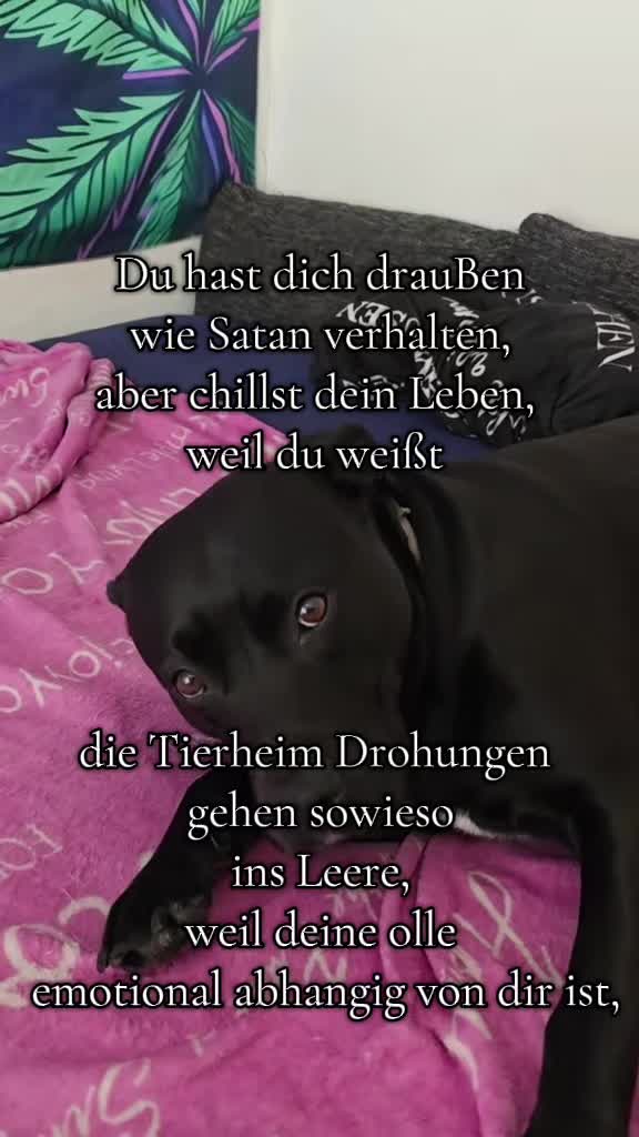 @â¡ðð²ð²_ððªâ¡
