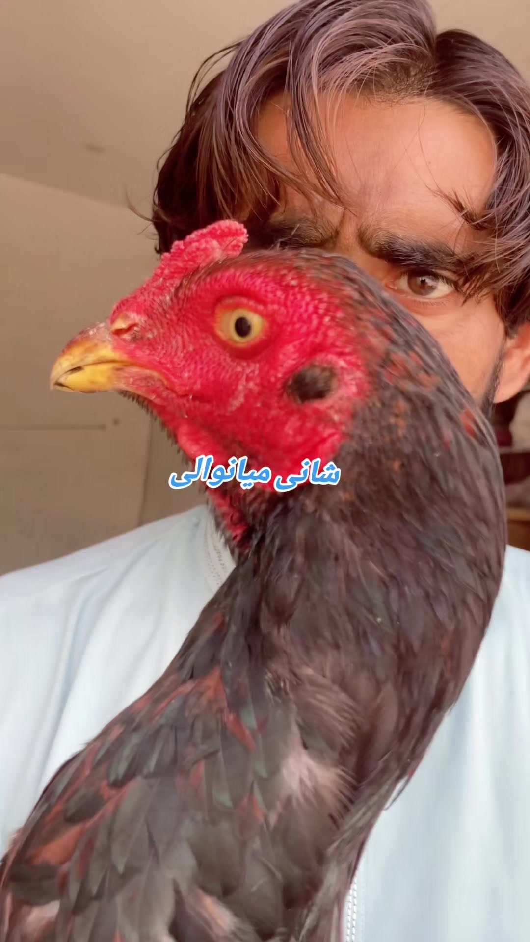 @Shani.Mianwali