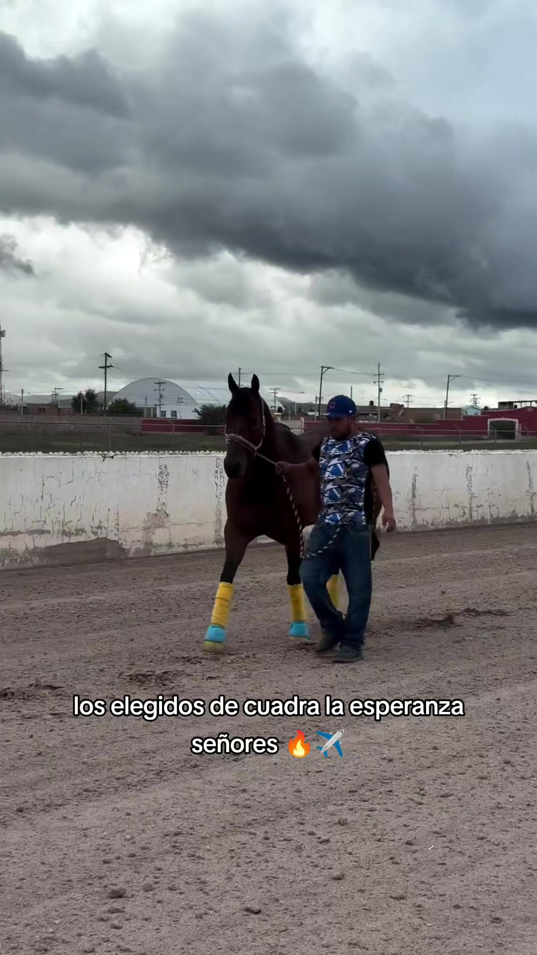 @carriles altos de jalisco🐎