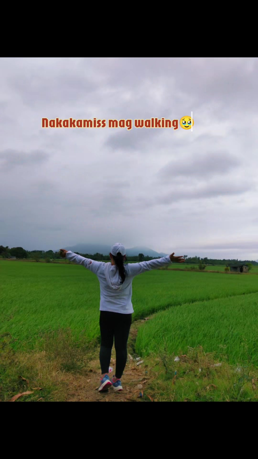@Mamitha Review