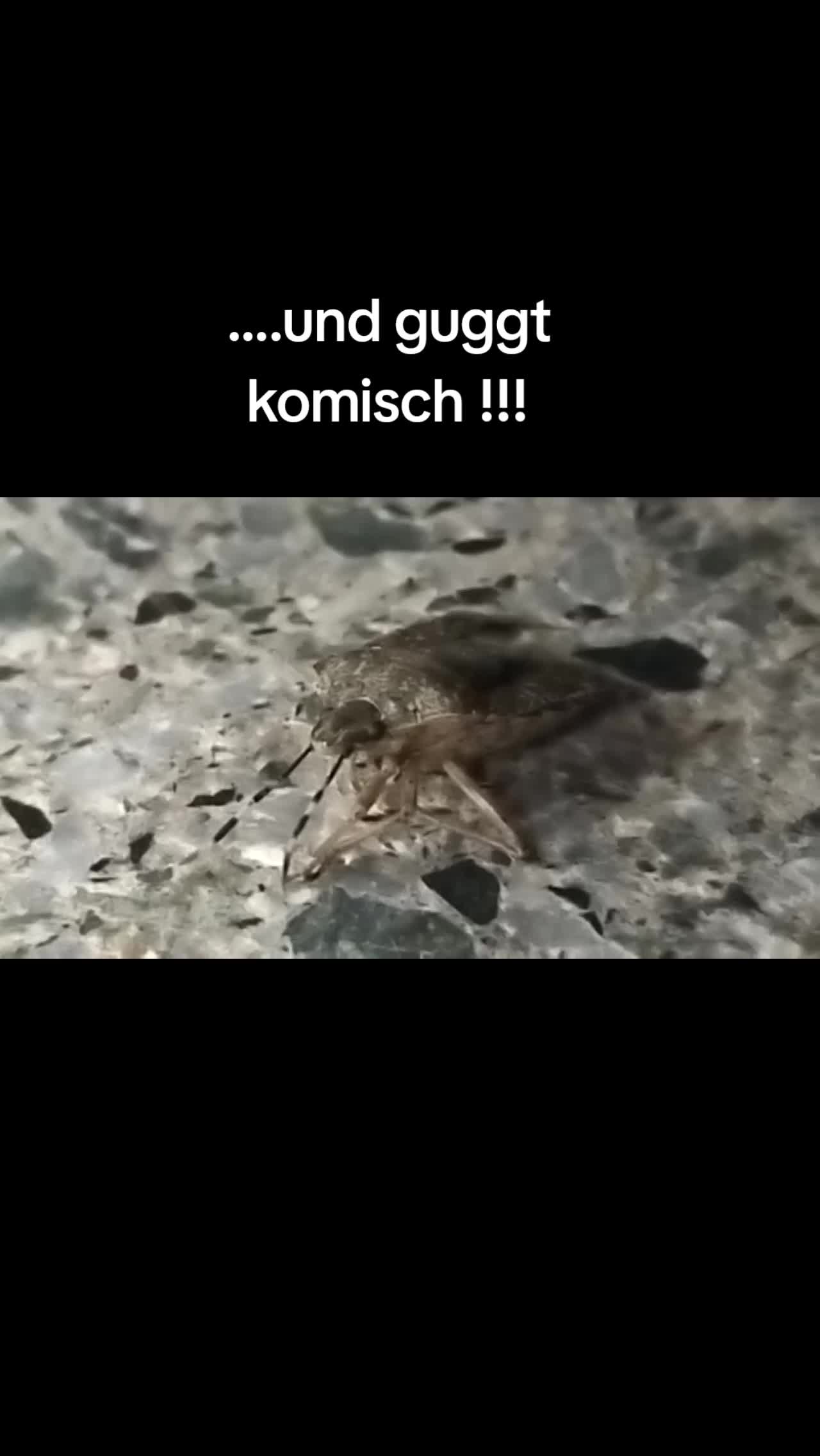 @StefanX.