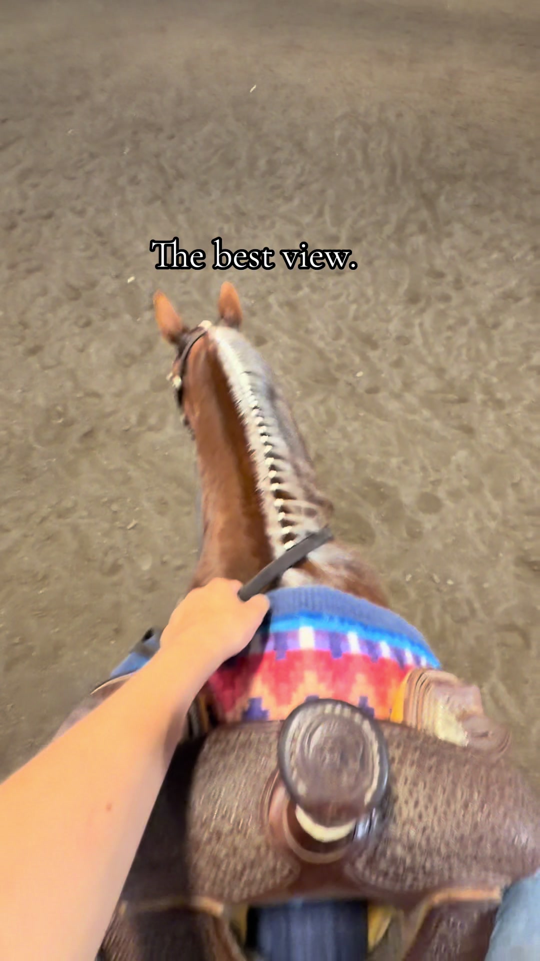 @bryndlekaye_horses