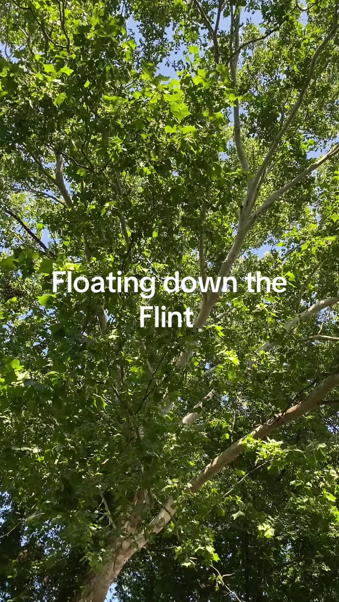 @Georgia