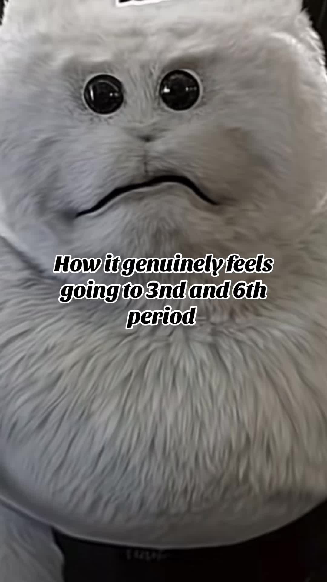 @Mimi