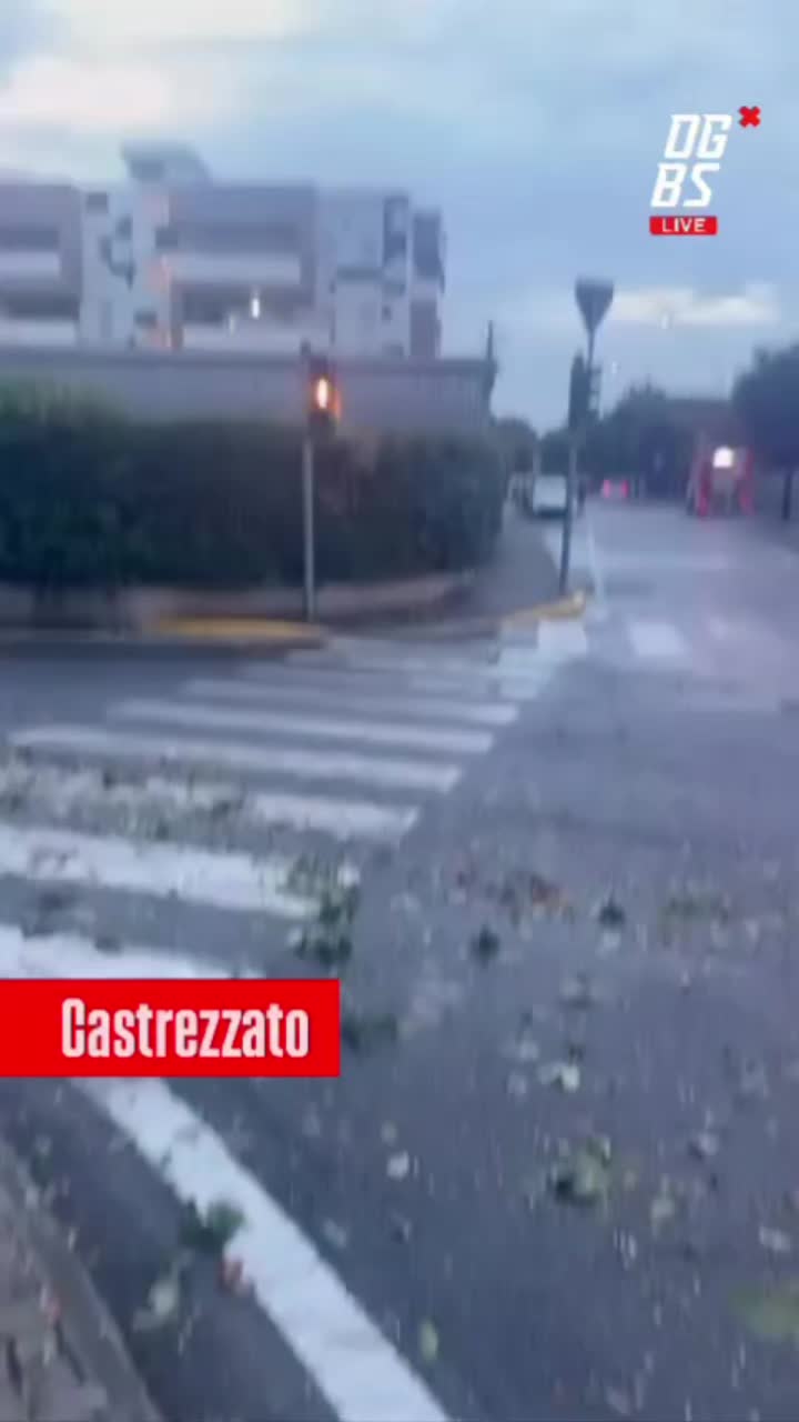 @Weather Insider