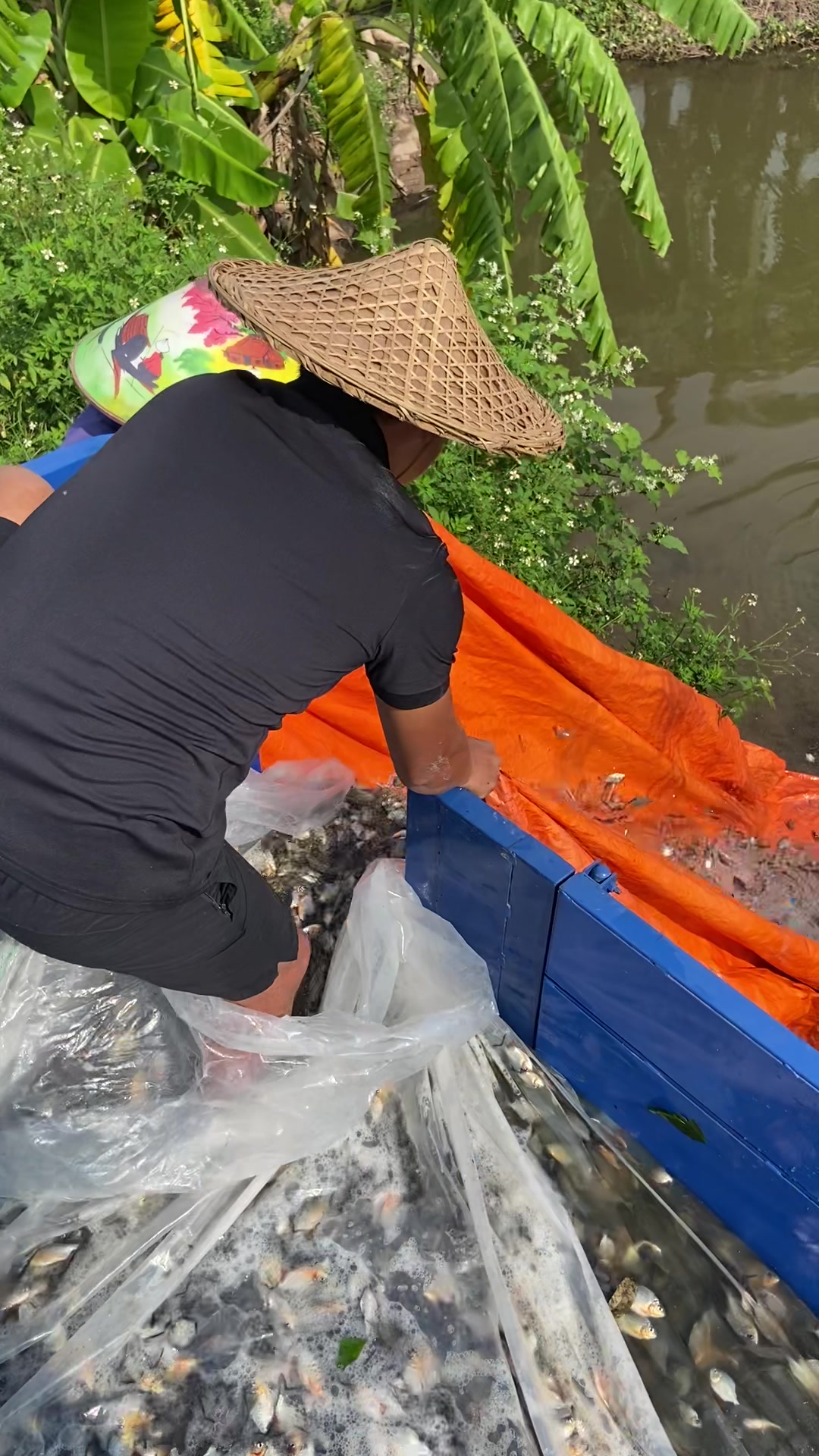 @Trại Cá Giống Quang Lâm