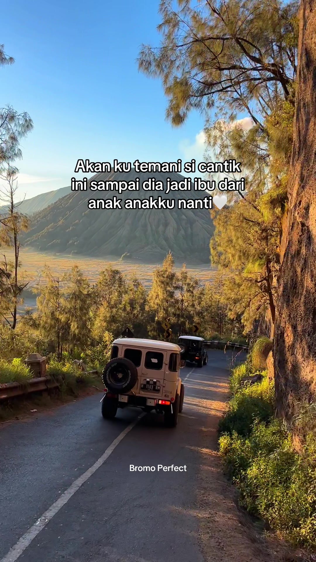 @Travel Bromo Probolinggo