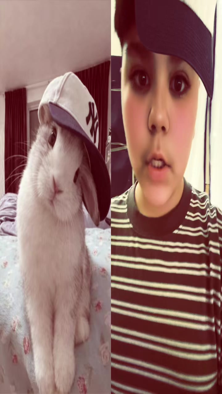 @🦢🫧༺𝓑𝓻𝓪𝓷𝓭𝓸𝓷𓆉༺🫧🦢
