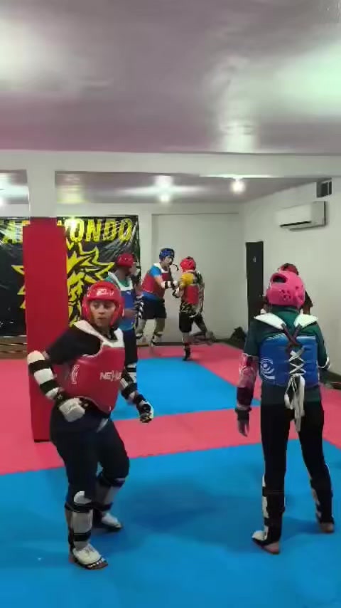 @taekwondolionsteam