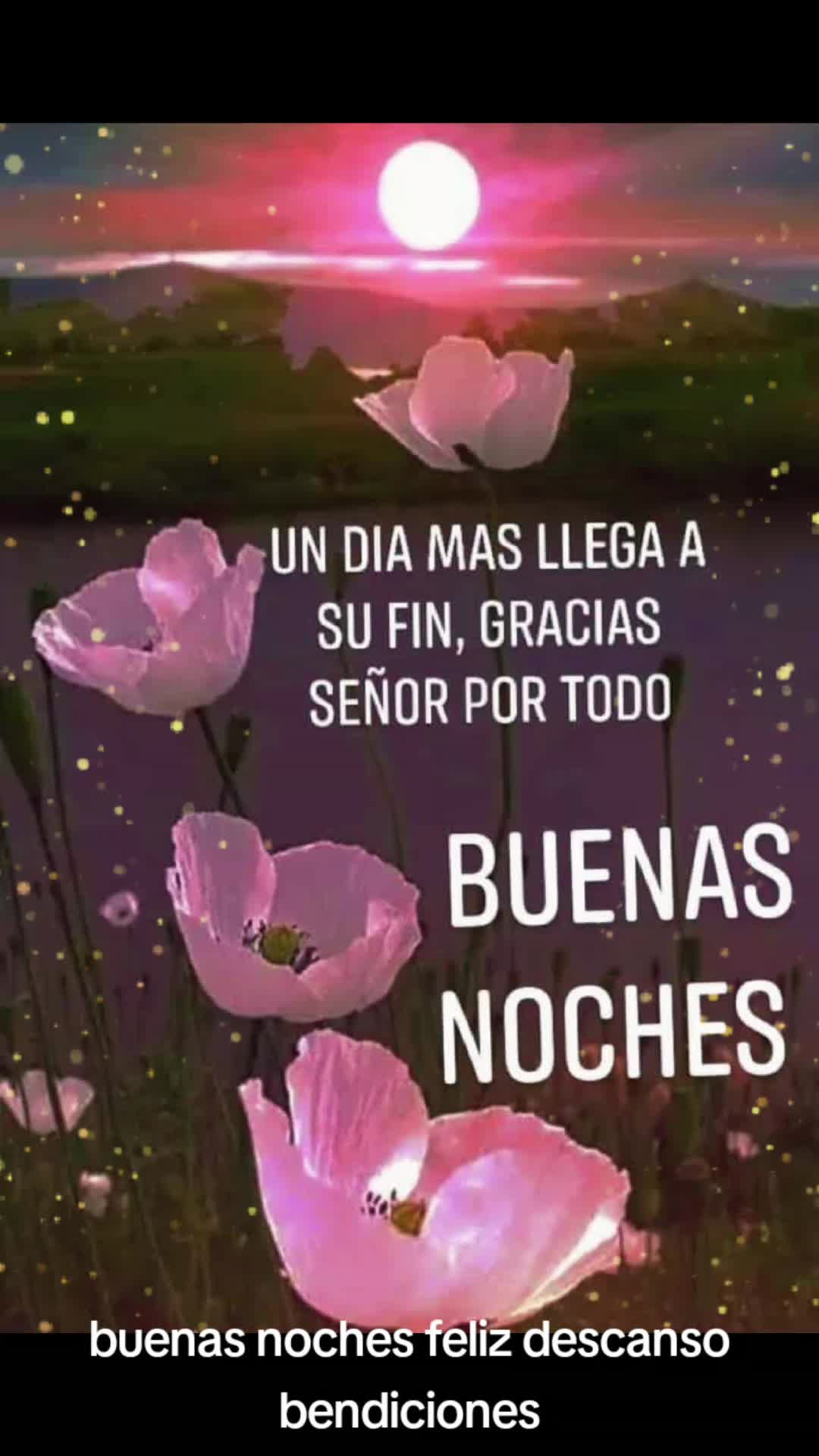 @❤😇🎤ANGEL-CAIDO🎤😇❤