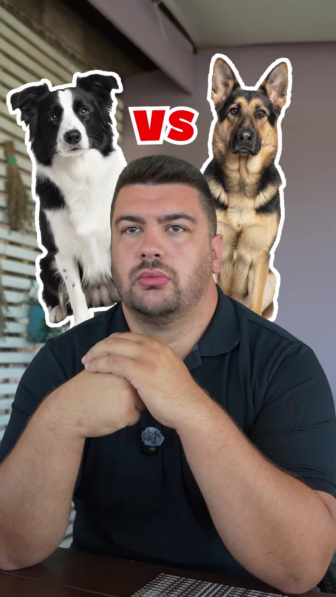 @superdog.akademija