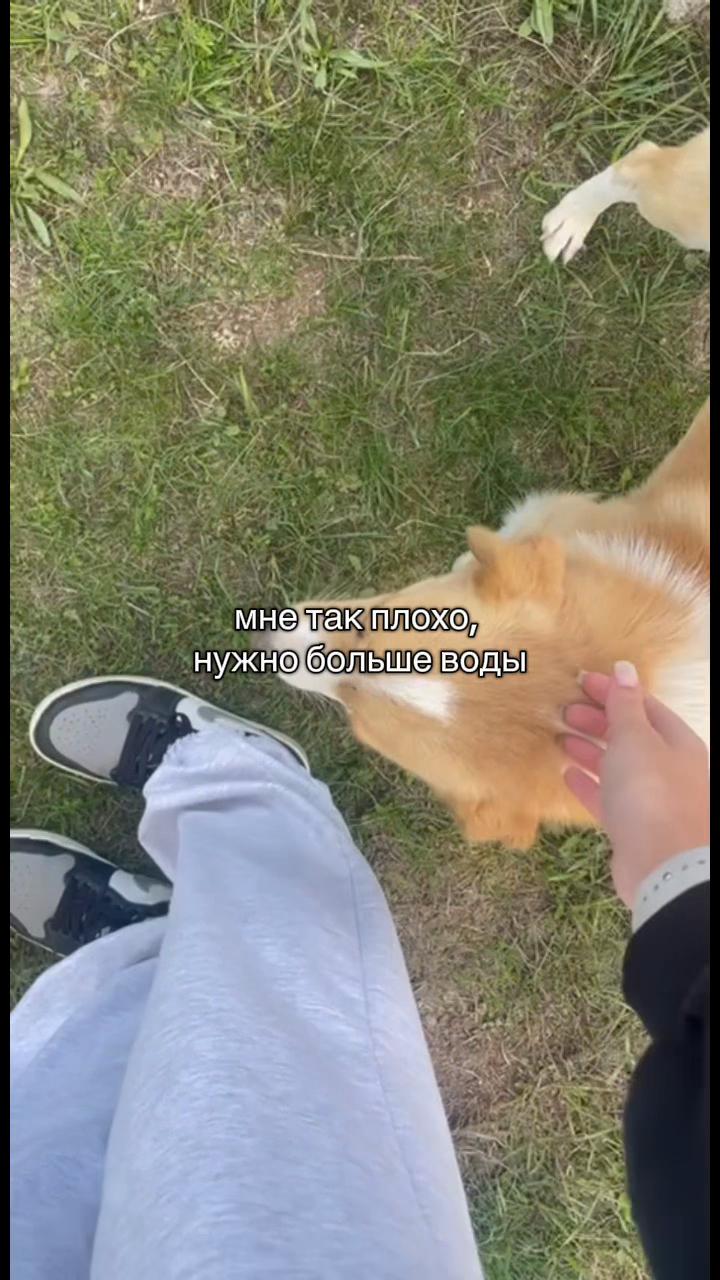 @аришка