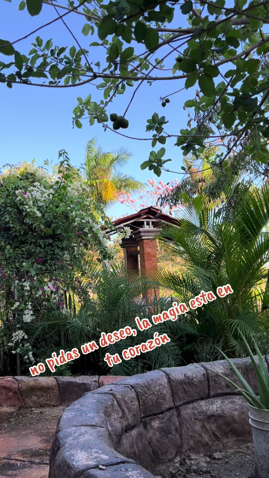 @La Casa Del Kambul