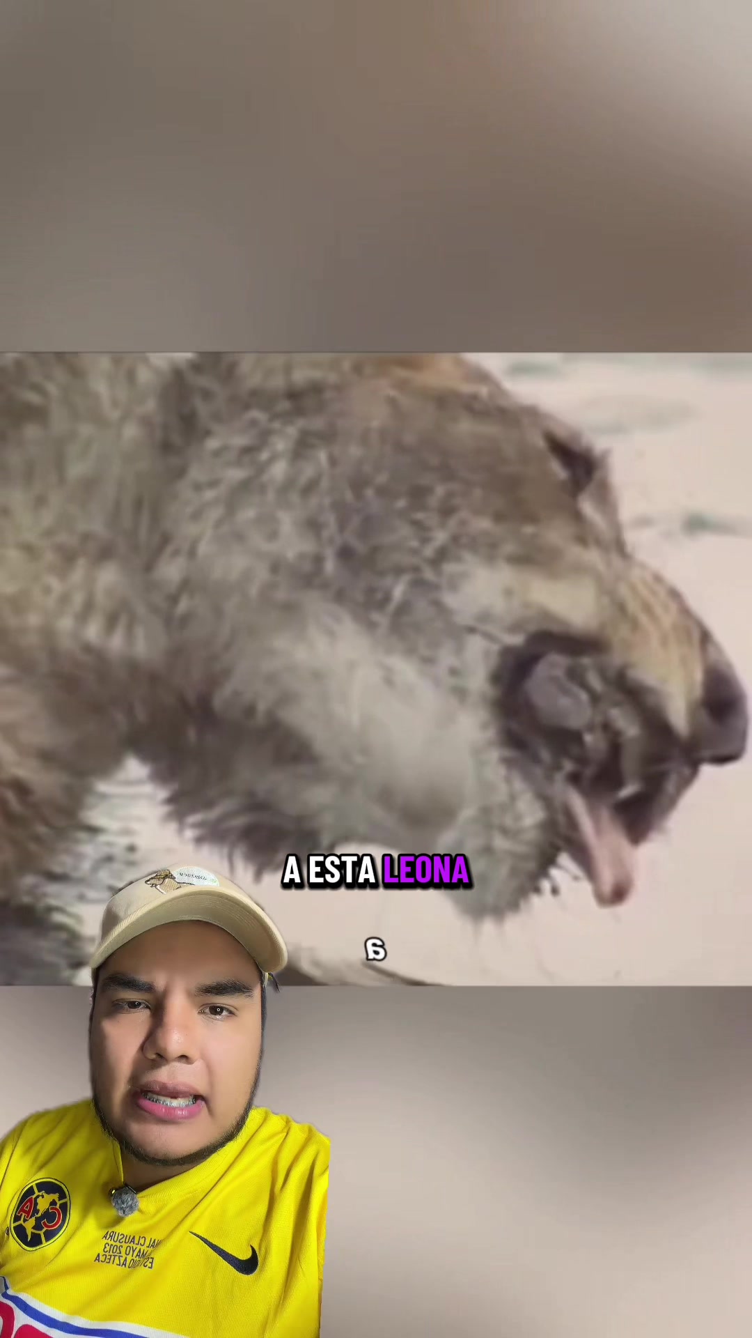 @Jair Herrera 🐆