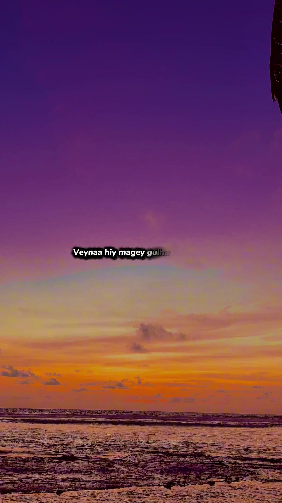 @V&Icirc;TT&Ecirc;