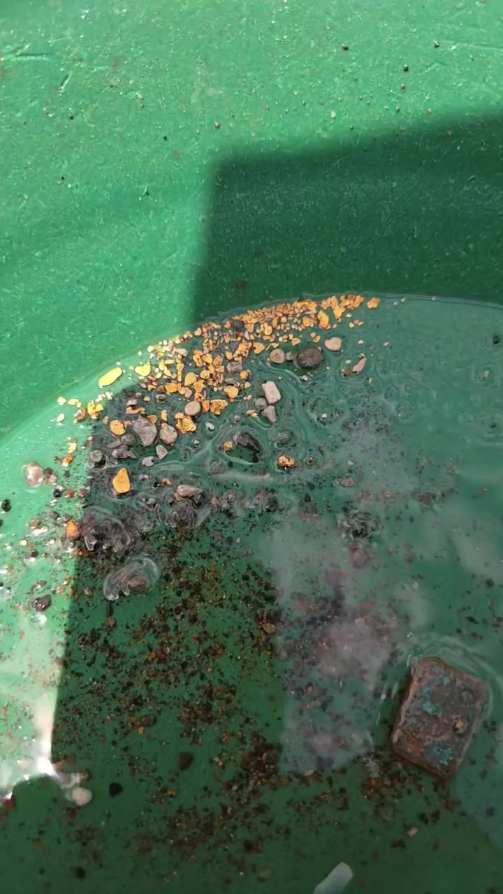 @Gold 22