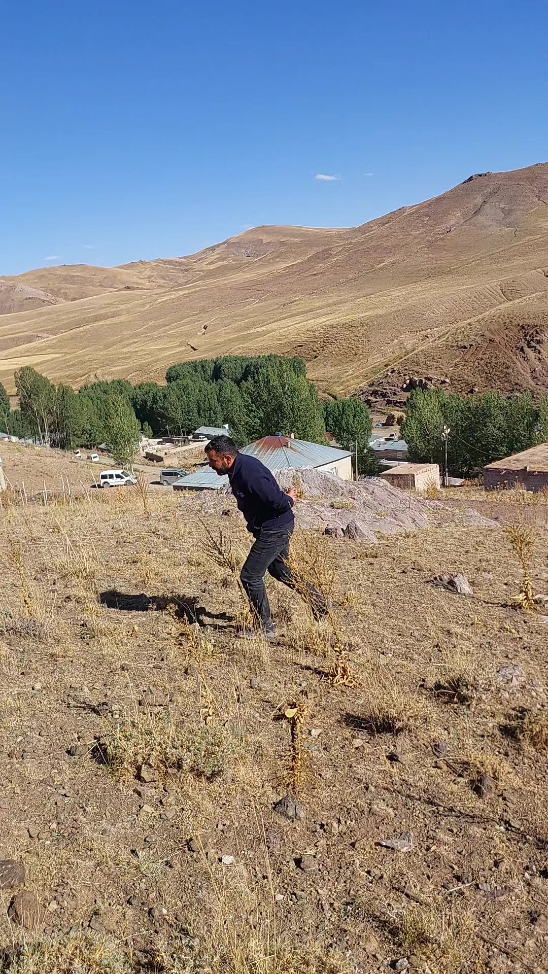 @Tarık Şahin