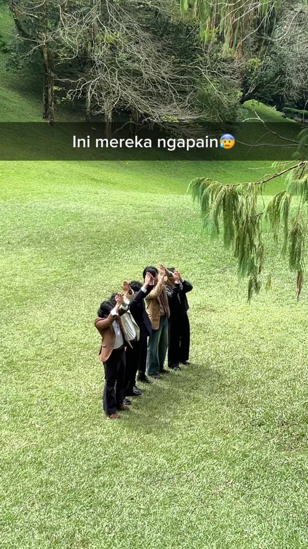 @The Lantis
