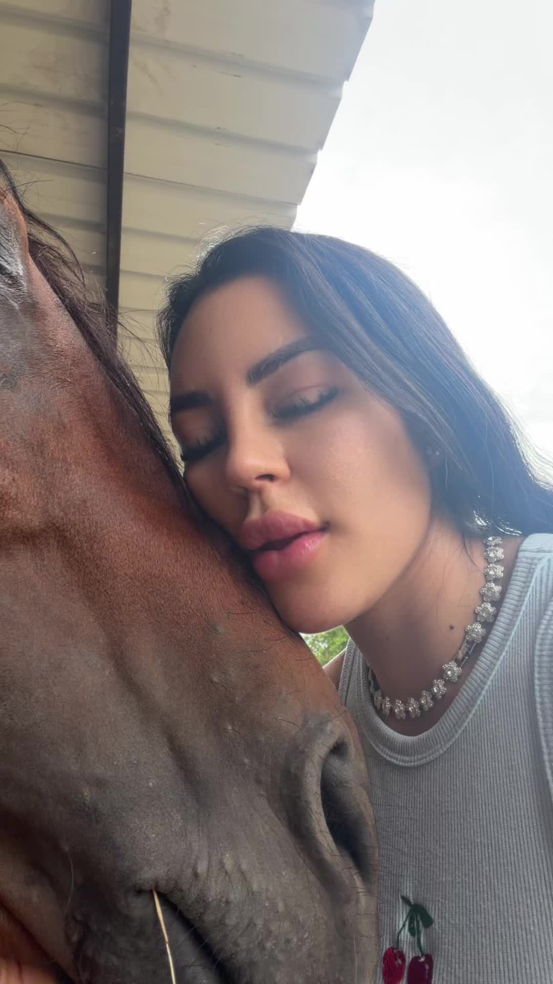 @🐎POTRA DESOBEDIENTE 👻🖤
