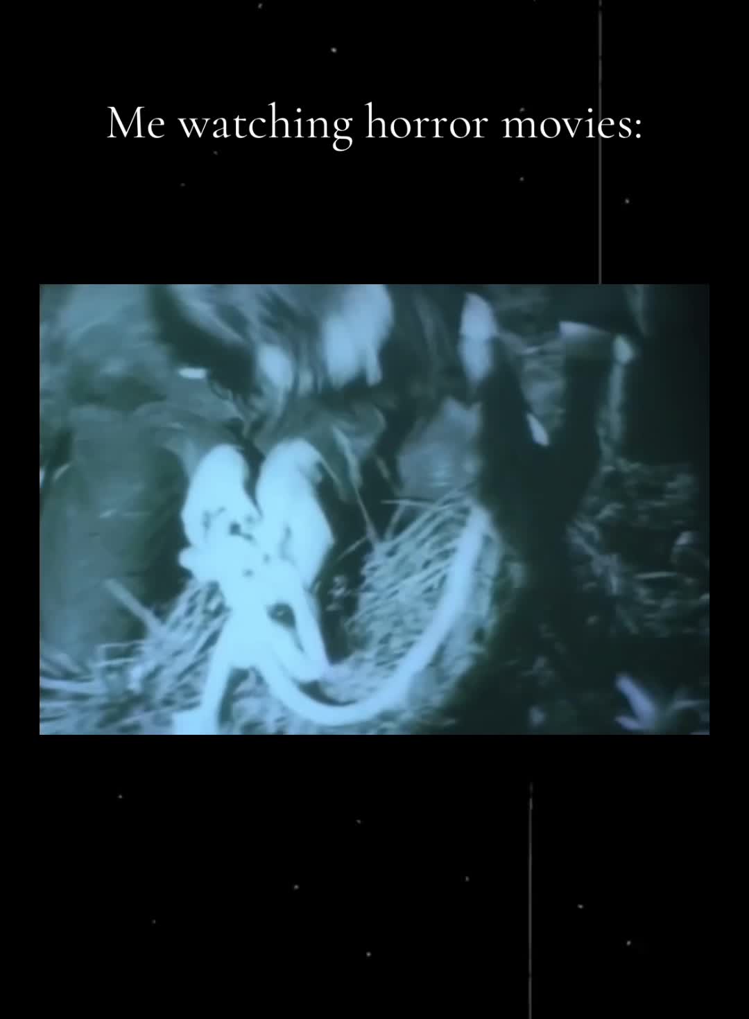 @ᴀɴᴀꜱᴛᴀꜱɪᴀ | ᴛʀᴜᴇ ᴄʀɪᴍᴇ 🔪