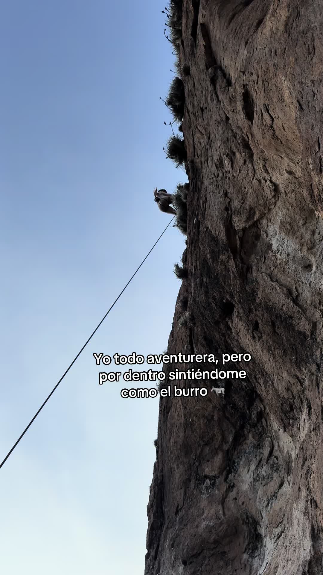 @Rosa Sáenz 🦀