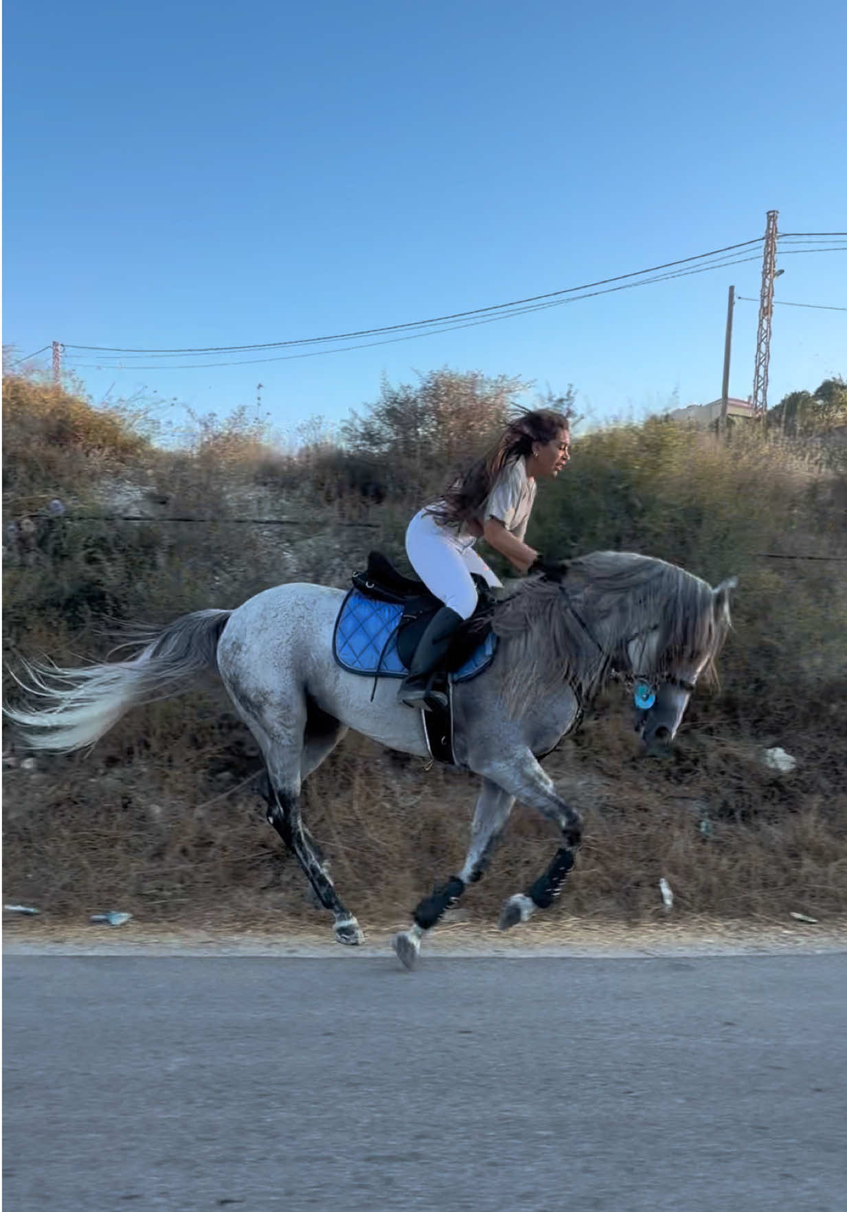 @لــيــن🐎