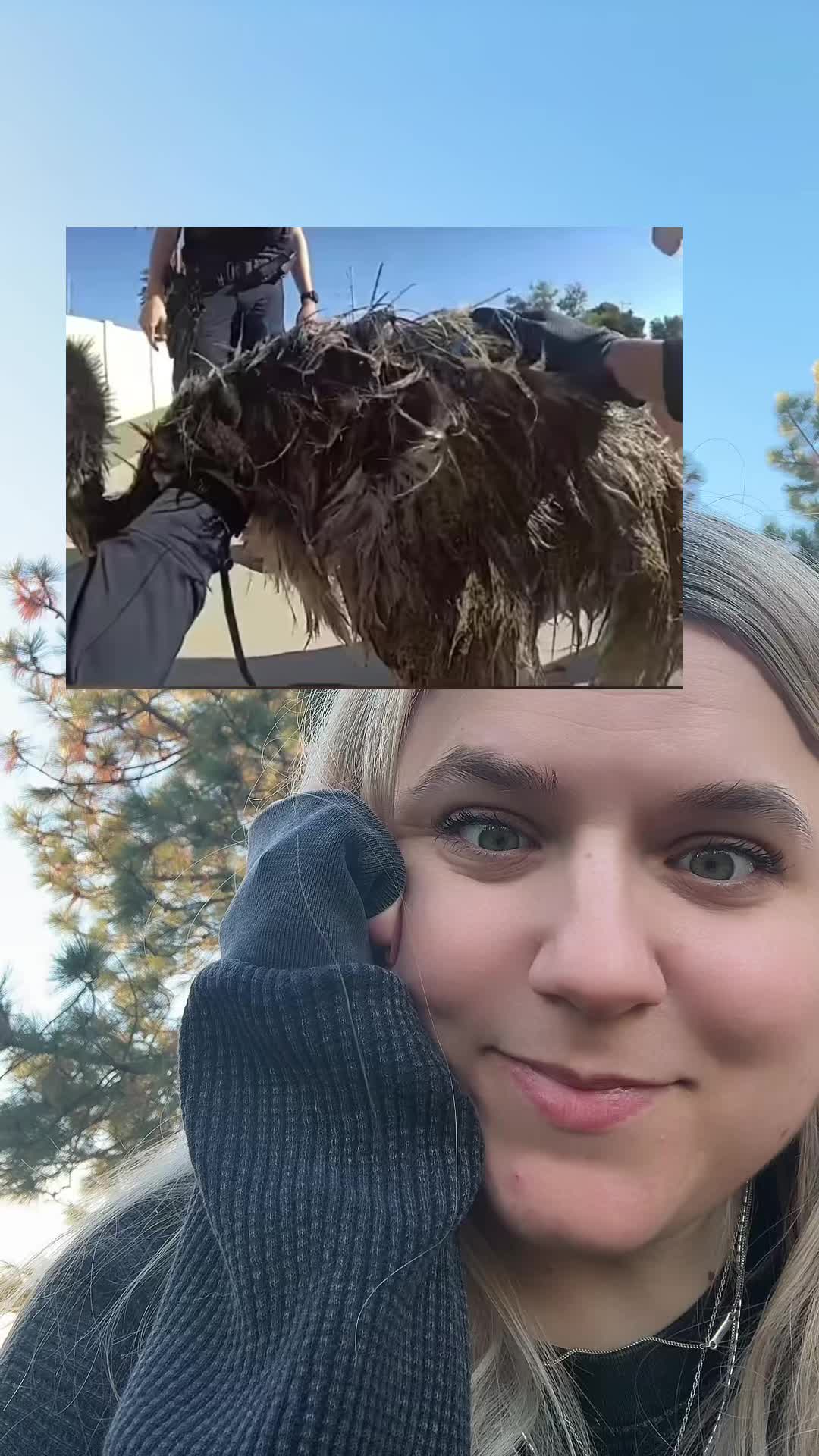 @momerik911