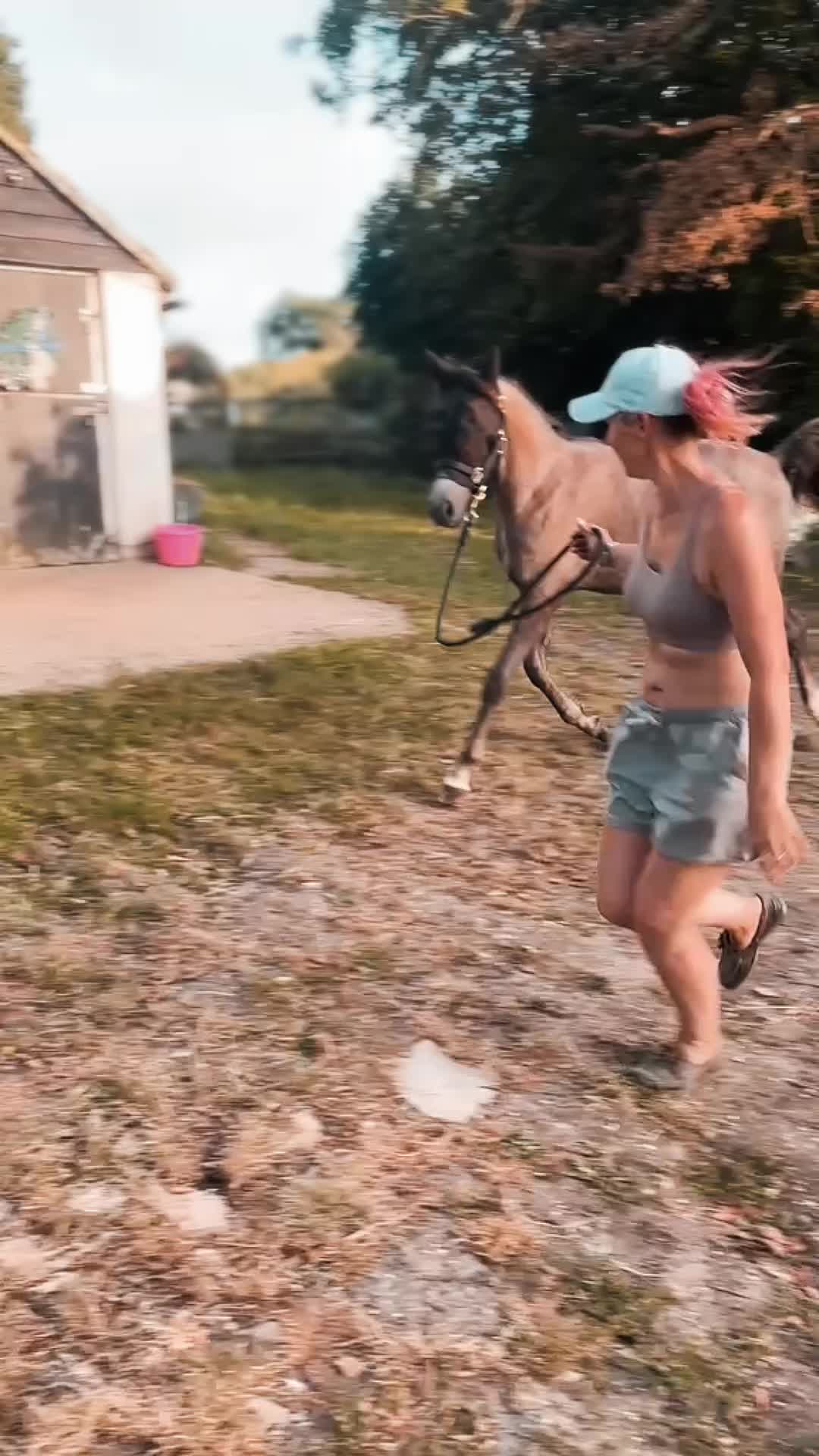 @fur kids 🦄🐴🐺🐺🐺🐺🐺🐺