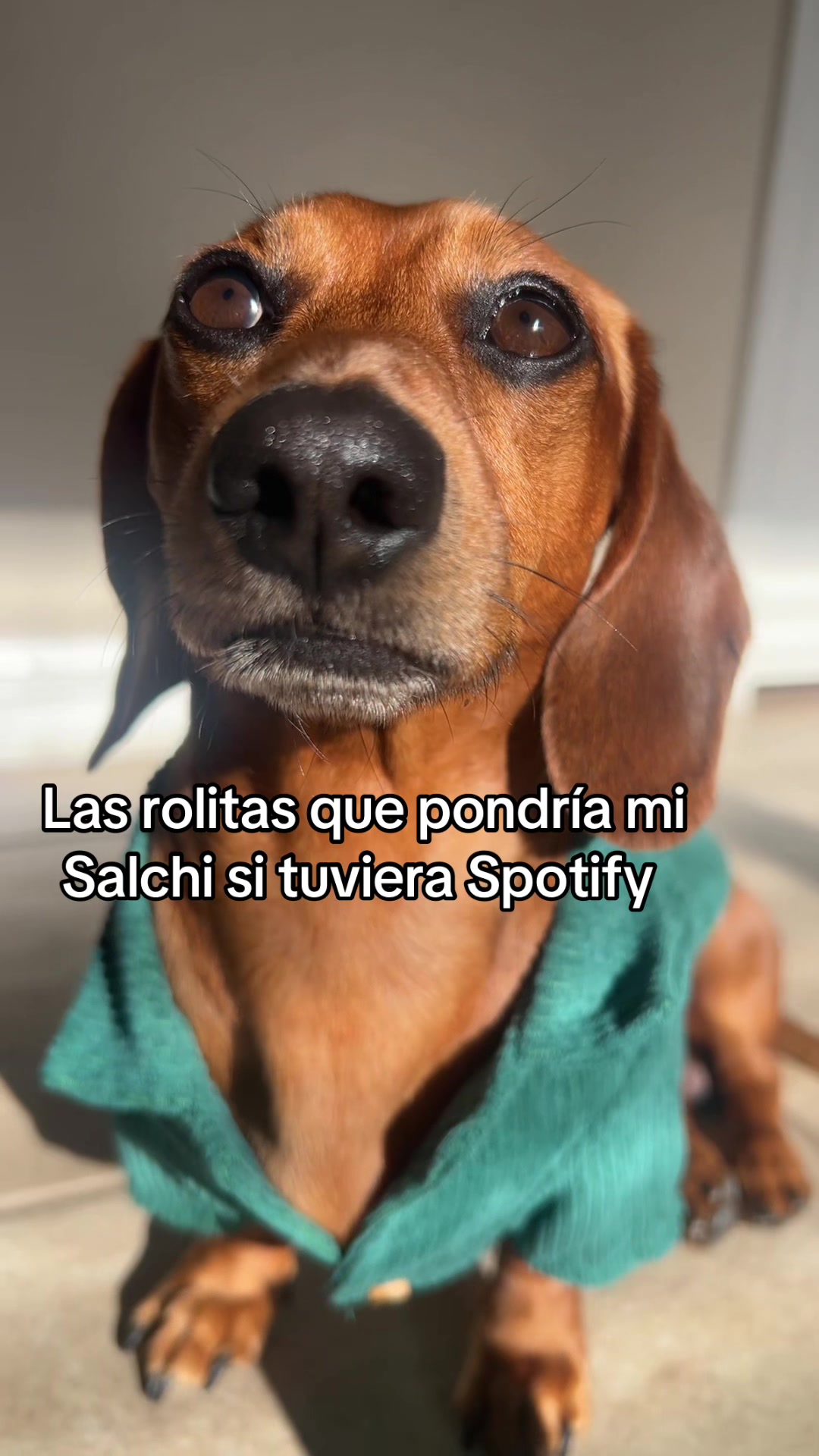 @Slinky Severus-Doo